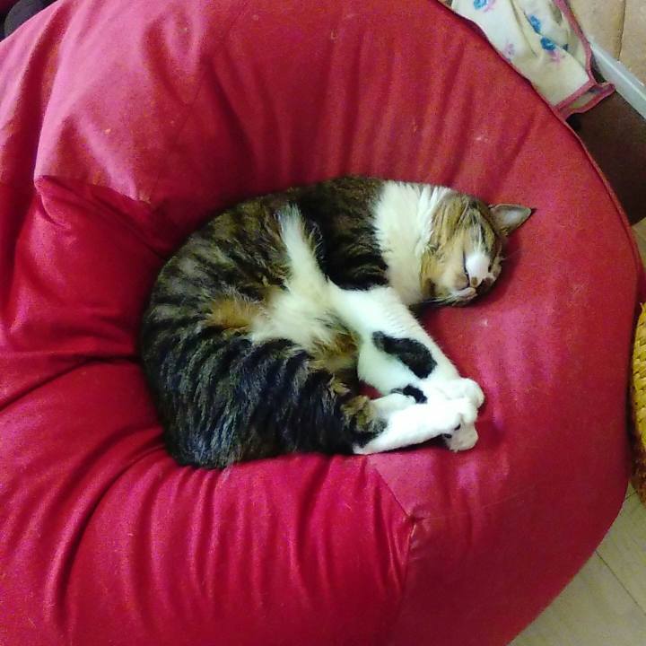 F5d16108 0ad6 4b53 8402 8ec8ecfdb3e9