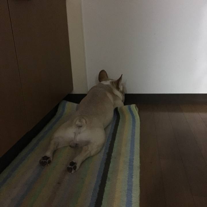 F5d1a9fb c2bd 4147 be0a cb47141bd2c3