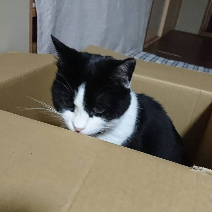 F5d1ce22 9882 4cac 969d c54a3bdeb805