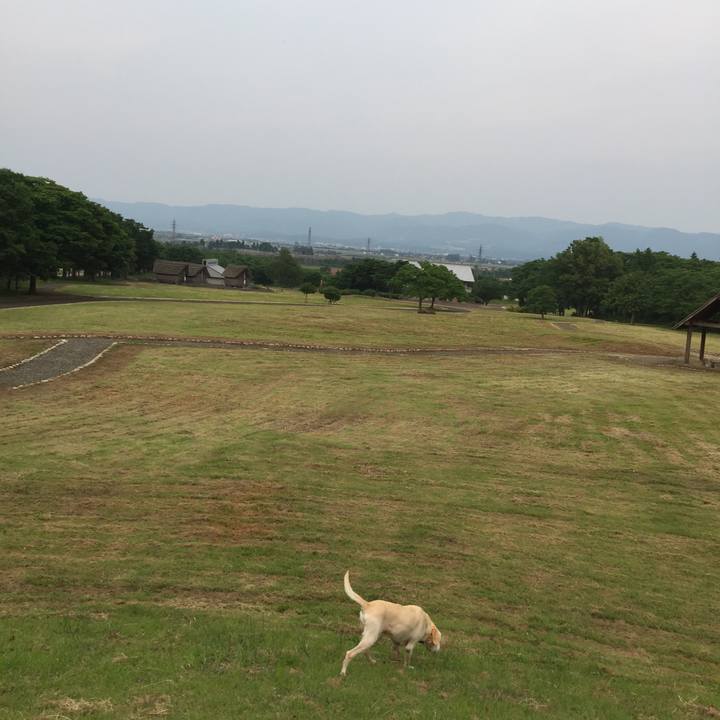 F5d2ba81 aba5 4316 9799 b9915c77c1e0