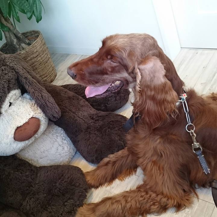 F5d38bc5 390f 41f6 9b30 2d11d55fda50