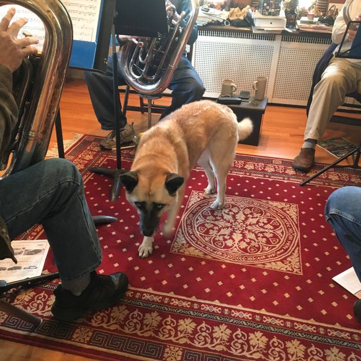 F5d390e6 685f 423b 84f8 61f9cb6f59e5