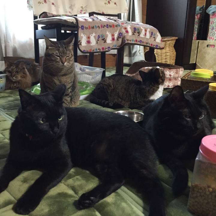 F5d3cdb4 2a0d 4d5e a1f9 db91f47a4c7d