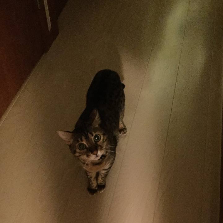 F5d3ecfd 2504 4a00 9ac4 91814950be8c