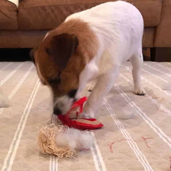 F5d3f5ec ca12 4ffc a4fb 359d134198f1