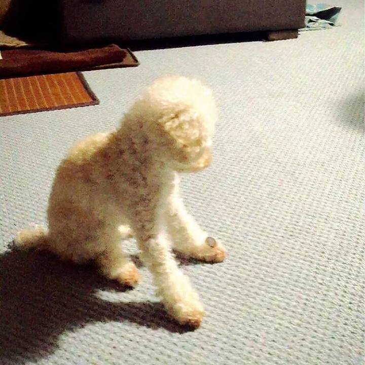 F5d4083b 83fb 4c7b aaf0 e2c95ec6e977