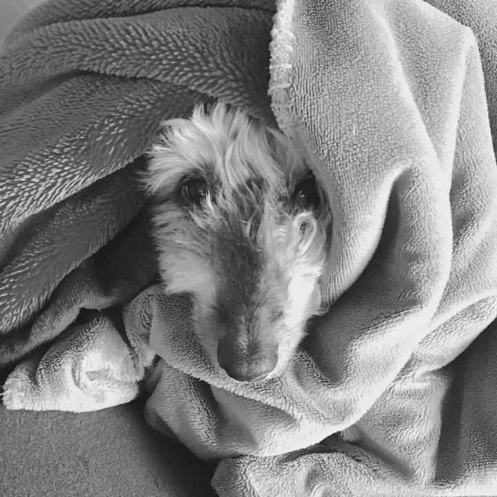 F5d599c6 bcb4 492f 8da4 b92df94e758e