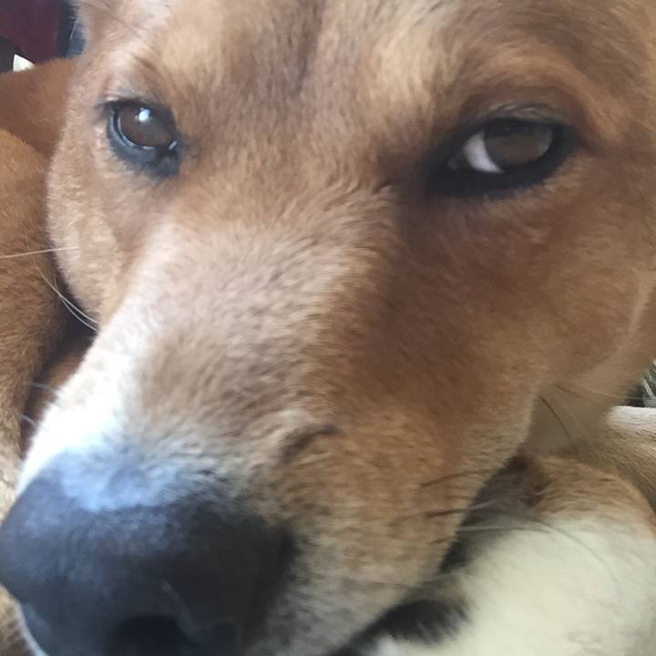 F5d63fa8 e683 49cc beb6 4595f409fddf