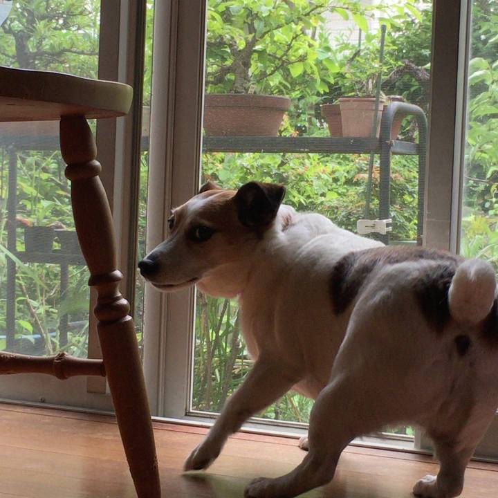 F5d6e98c 2ded 4db8 9406 b4066861cf71