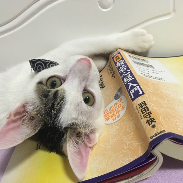 F5d6f97e b909 4110 9a2b 498c91b37107