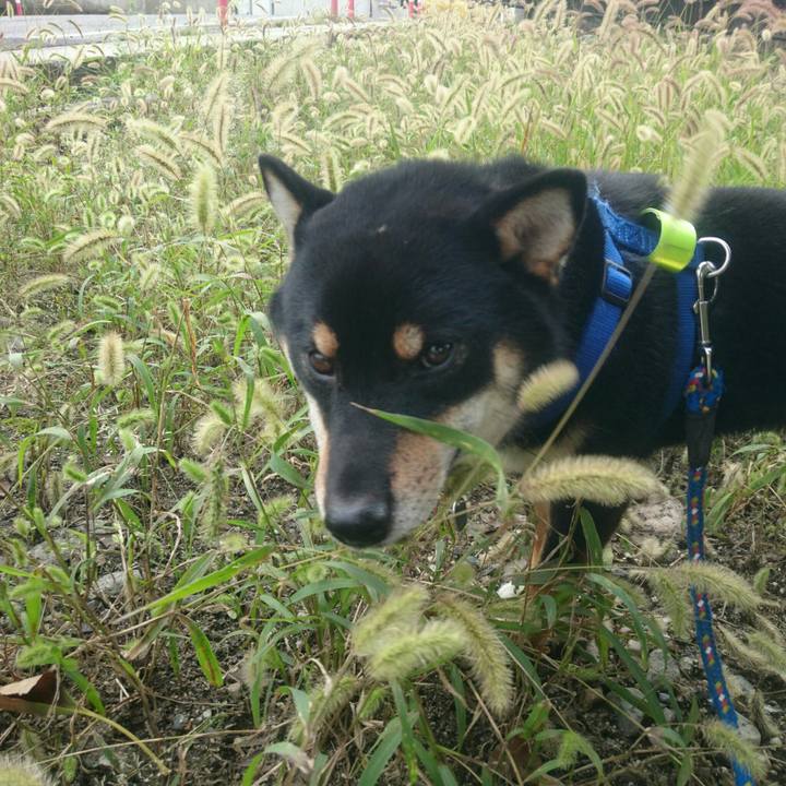 F5d70e64 6fd5 45f4 be60 5aa6f0a0d26a