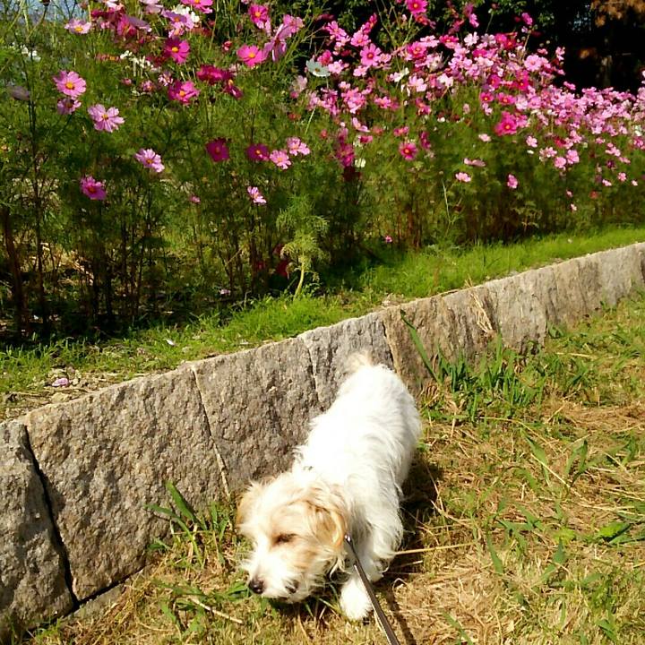 F5d74e44 eb61 42ad 97d4 12e9f42a27d0