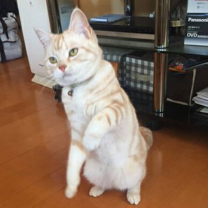 F5d76603 0615 41e2 96cb 25d0b4d10f80