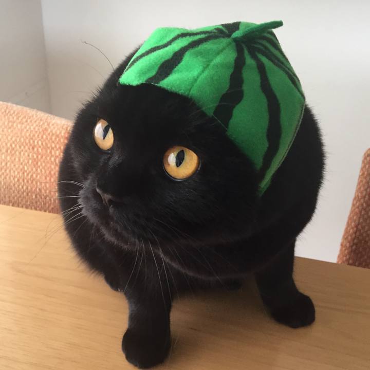 F5d79b8d fdb9 4953 99f7 7b38964635b5