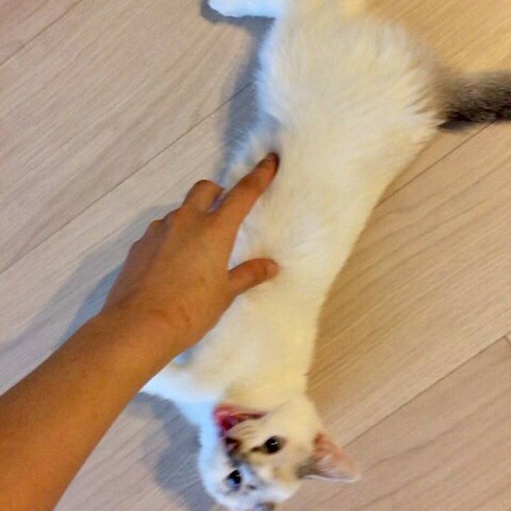 F5d8b1ab 0c31 40bb 8251 a424fa9c3999