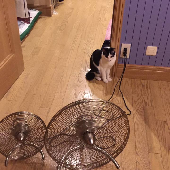 F5d8c964 8625 44c5 bb65 f3af63c041fa