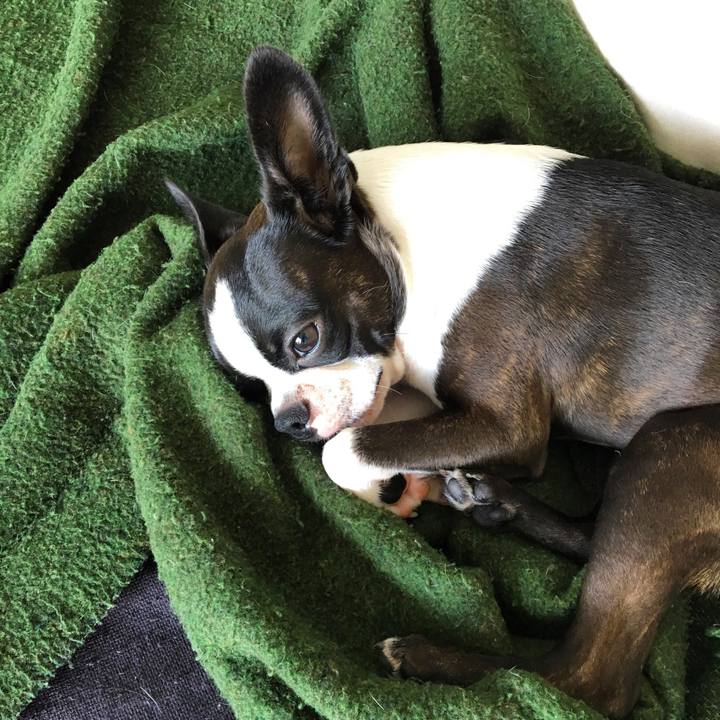 F5d90986 d4ee 4089 b07f 29fc4cd76d4b