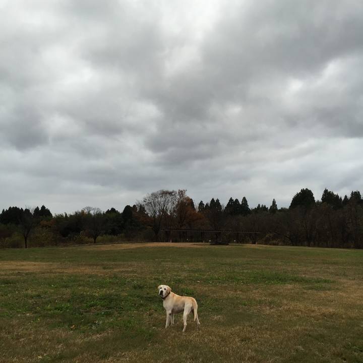 F5d97d0e 2fea 4586 b6b8 c223a8c9002f