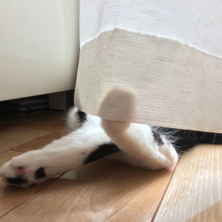 F5d99048 a9cb 48d6 a547 8df50f1fec35