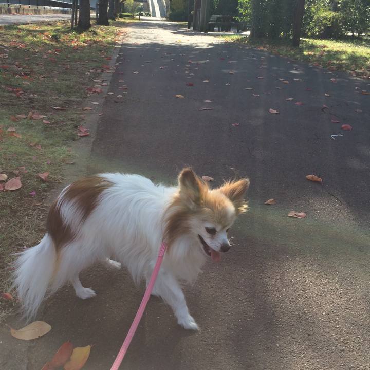 F5da3198 69dc 4978 aa65 5931146c4f34