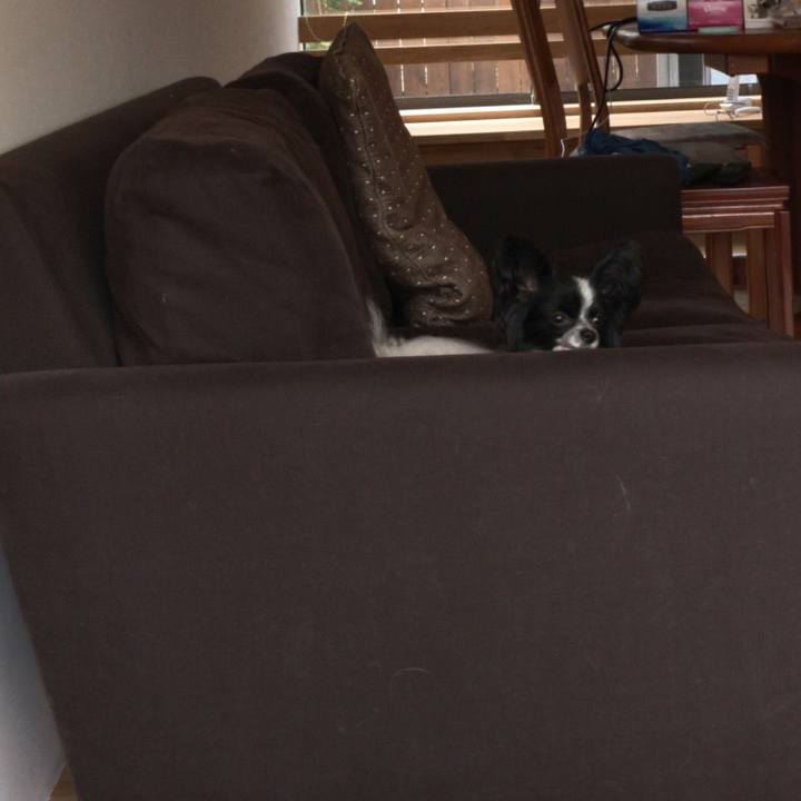 F5da6866 05fd 45f6 b4e7 1da5c7c160d6