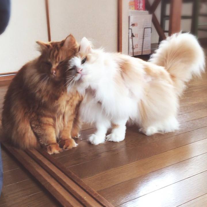 F5dafb60 fa8e 46cd 832c c1be063cc396