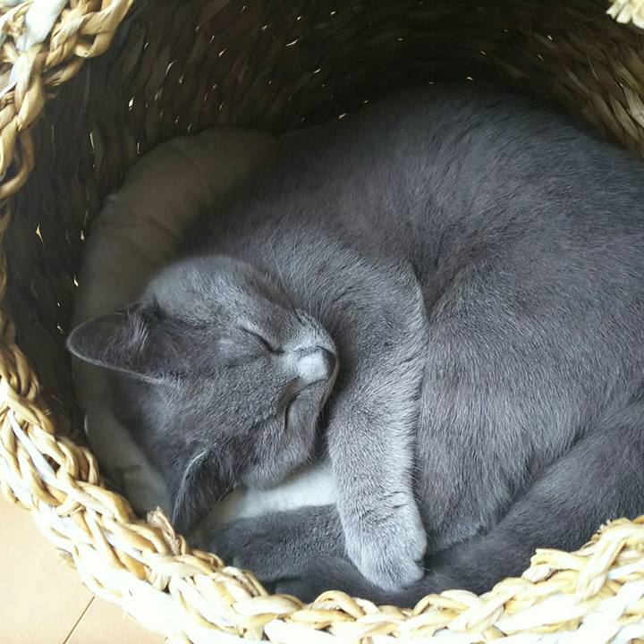 F5db3416 7f0e 4071 8e56 2a11d07c3e26