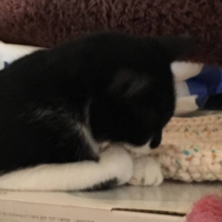 F5dbe284 ad9a 48c0 b7c9 91aab16bceaf