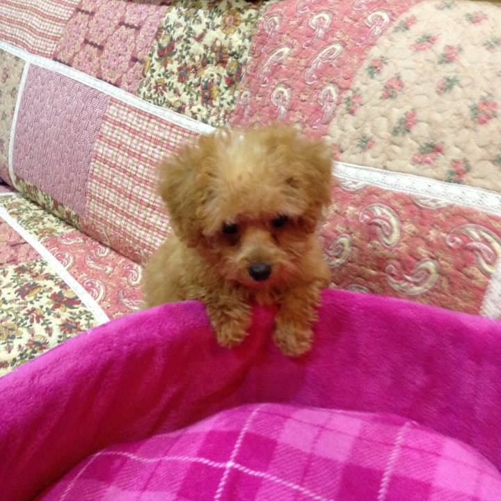 F5dd3fd5 6be8 4c2e bd46 f008e737a078