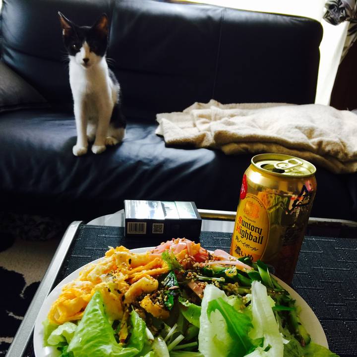 F5dd829e a23c 4981 9490 d94288d8741c