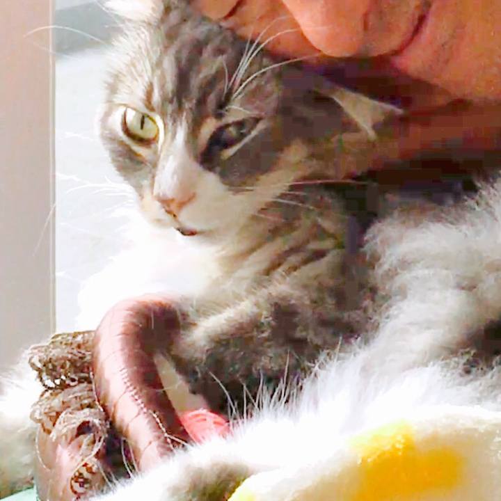 F5dde45b 1ae6 40ff 9a01 06943a094f03