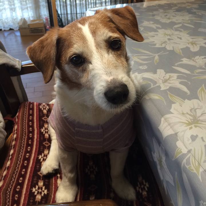 F5de3802 a610 4a79 b409 bd99b1a16632