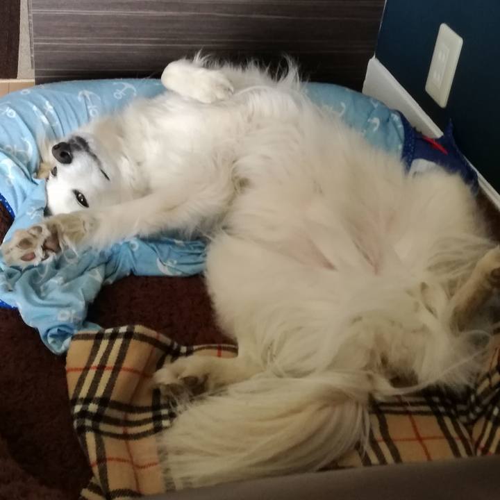 F5deb8ff 9260 4752 91d8 1a19806fe7a8