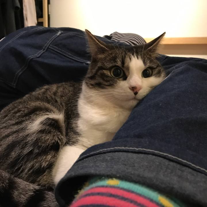 F5decae2 74e8 434a bcbf fc4fd61ec3ea