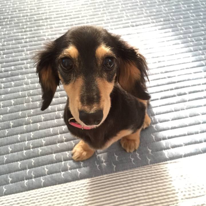 F5df7b46 4073 41af 878a c6ada571826e