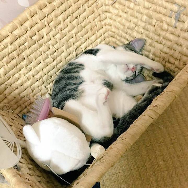 F5df8e4a 8795 4a53 8edc 4c842f77f079