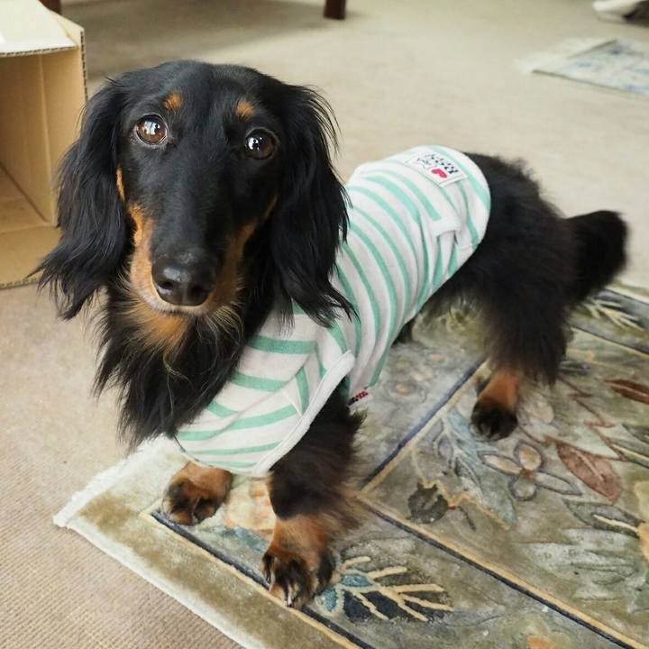 F5e0b85c fec6 405e 8464 a6901165d59f