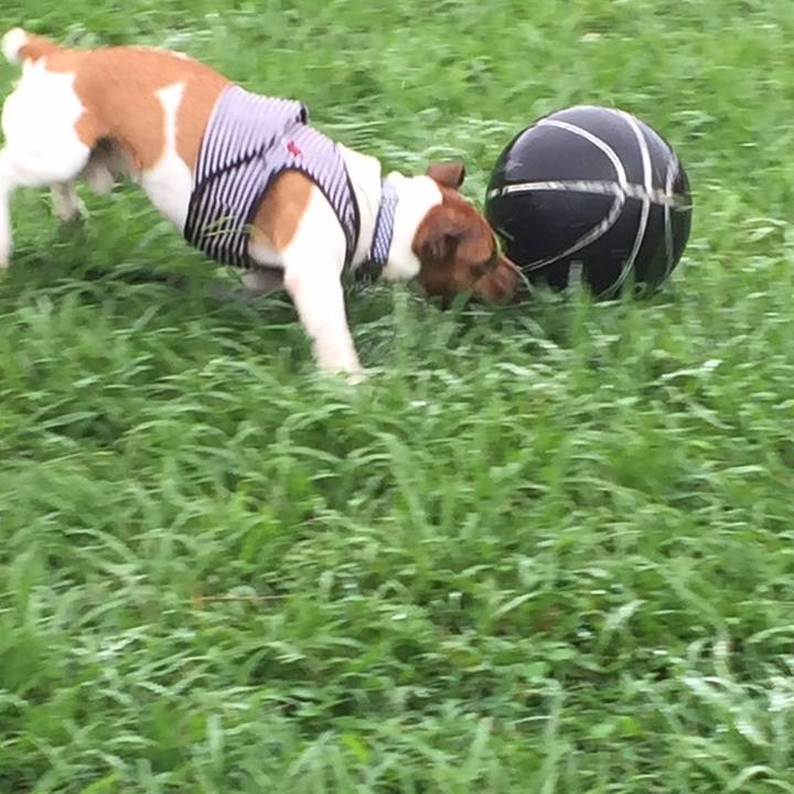 F5e0e45c 9723 4dbc 8091 47ce0b7960cc