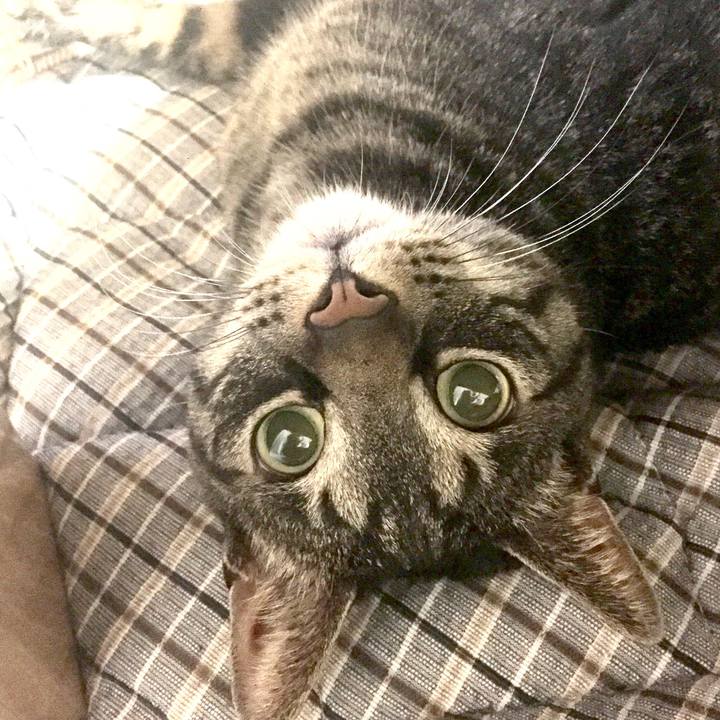 F5e17a6c 6855 4edd 9fd7 0ccf2c975c91