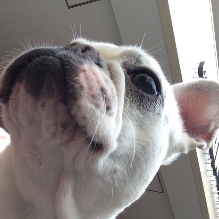 F5e1aa24 e63a 4dff 9c6f 269086d3cf1a