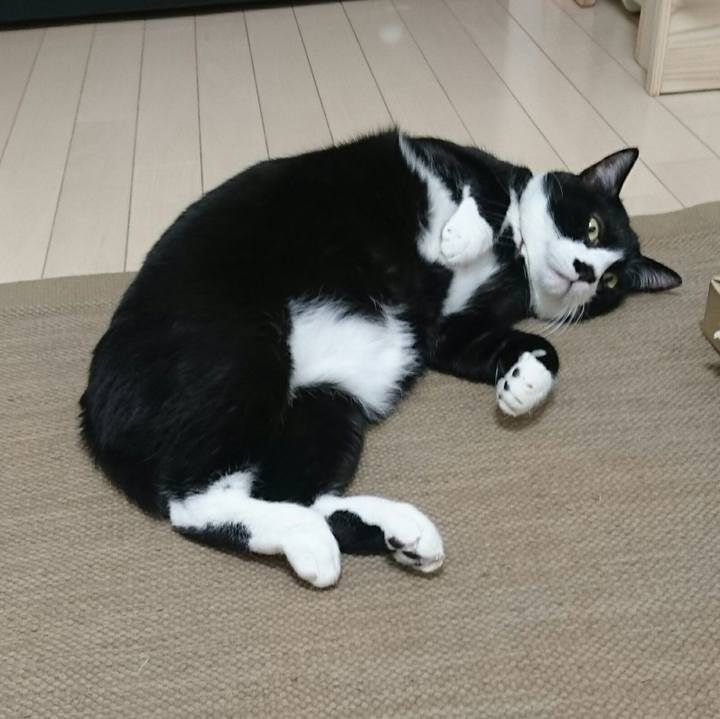 F5e1b24a 1f53 4307 a670 6fb1393de696