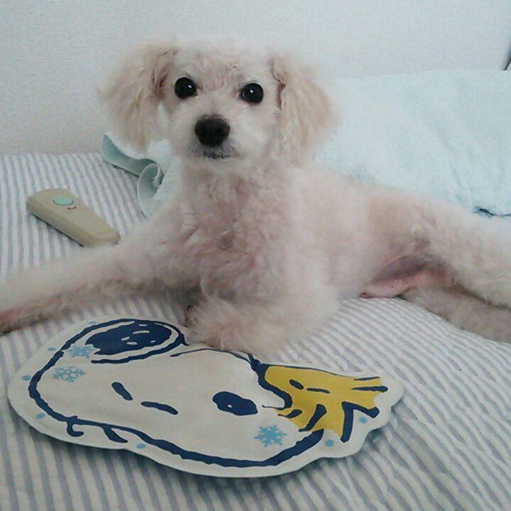 F5e1d5b8 56f7 43b0 85eb 47912c8948c0