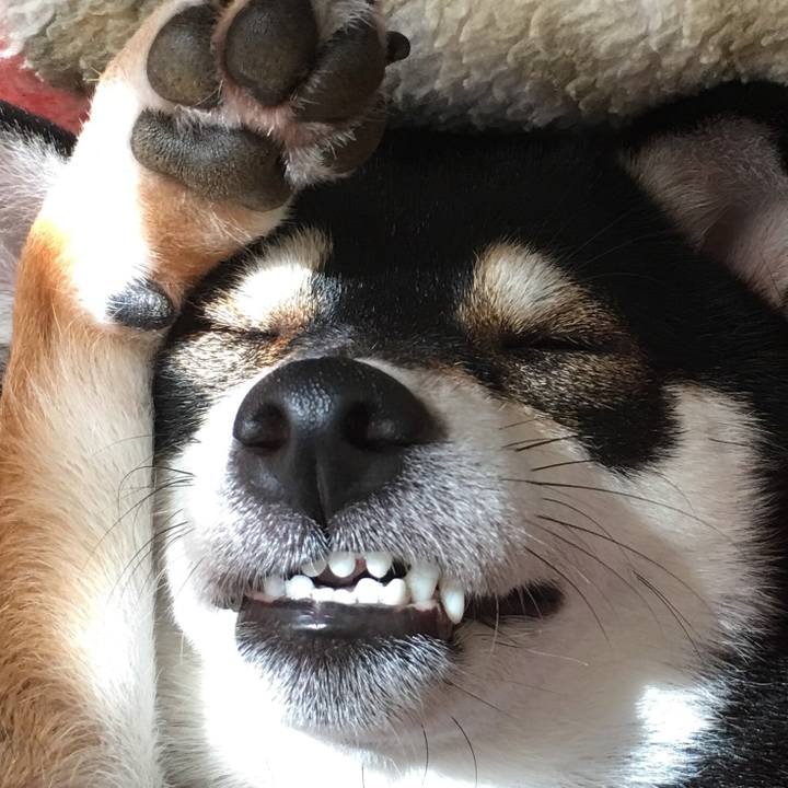 F5e2bbae b885 48e9 8853 65b945f6b6ac