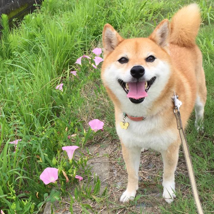 F5e2d3cc c698 40ce 90cc 7e0d7169d90d