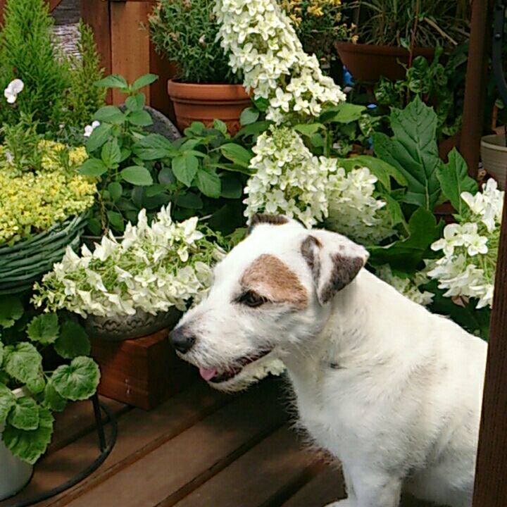 F5e2e042 262a 4b8a a0e2 4d6d40fb066c