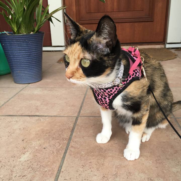 F5e3064c f555 41c0 be82 d454bc73282b