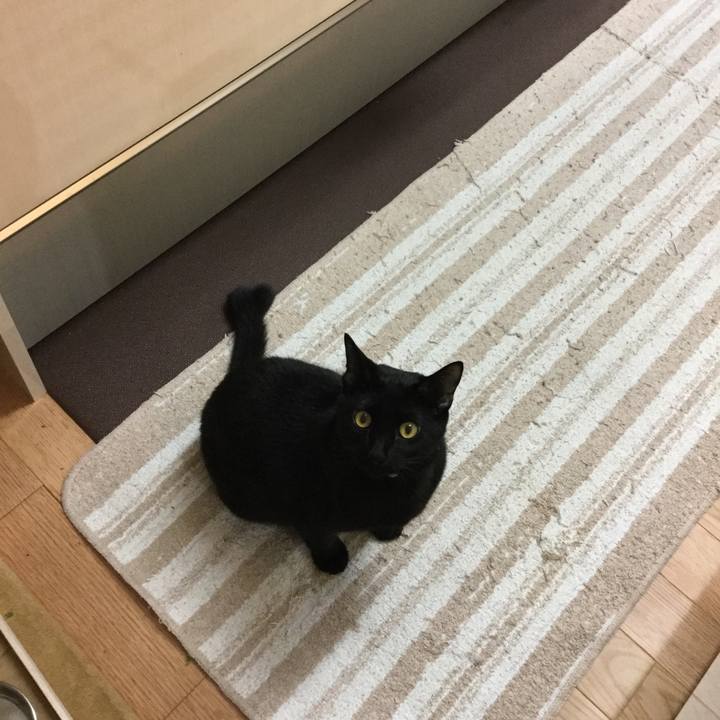 F5e39eee 49c0 4c26 81a6 5adc9cfb919b