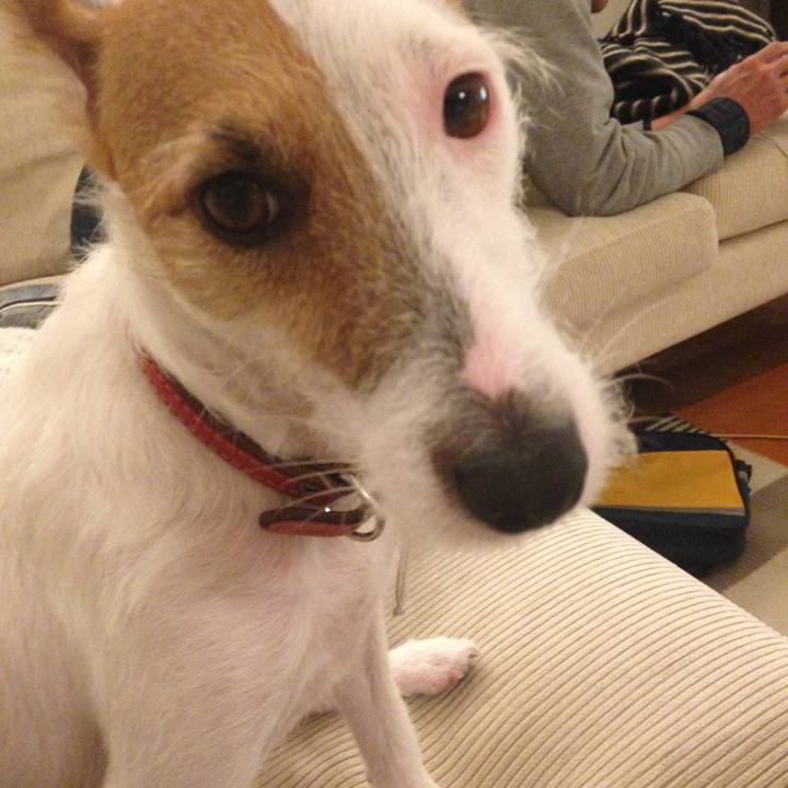 F5e48d91 de3e 47ae 8748 8ca95b3eb923