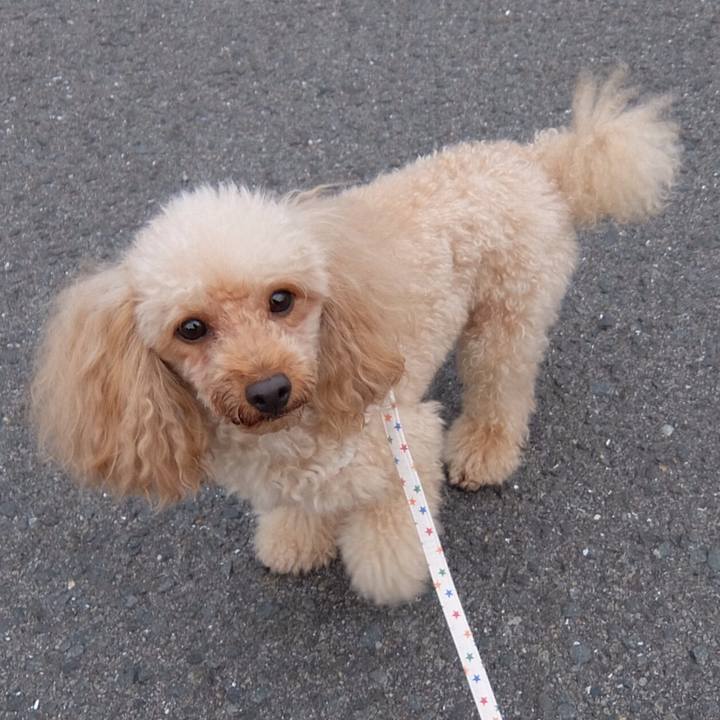 F5e4f851 c313 4e09 9c9e 103d9a6c92e3