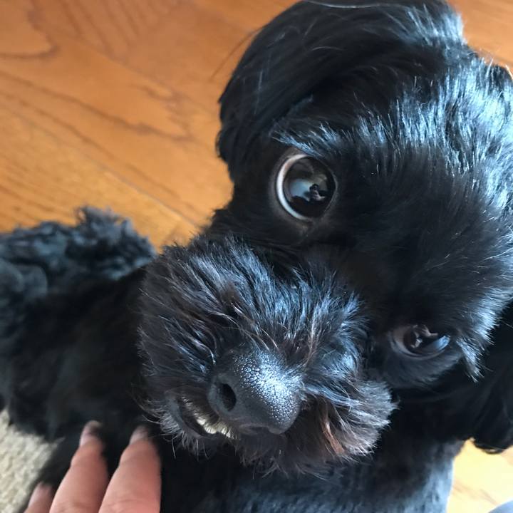 F5e52541 f57f 4737 be59 52e699b1ff61